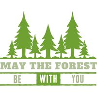 May The Forest Thumbnail