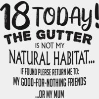 18th Birthday Gutter Tee Shirt Thumbnail